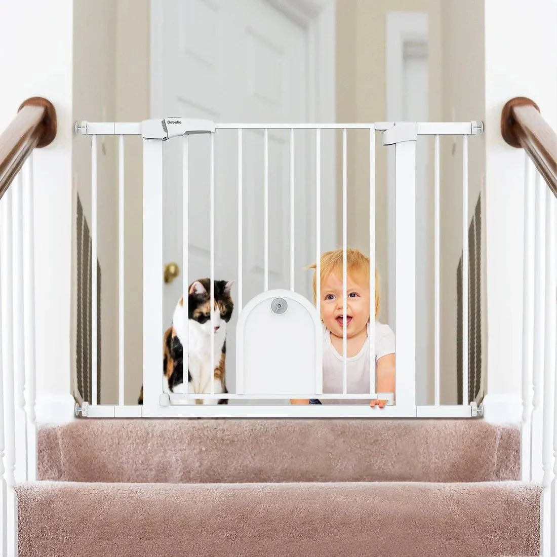 Babelio baby safety gate installed at top of staircase with baby and cat in hallway