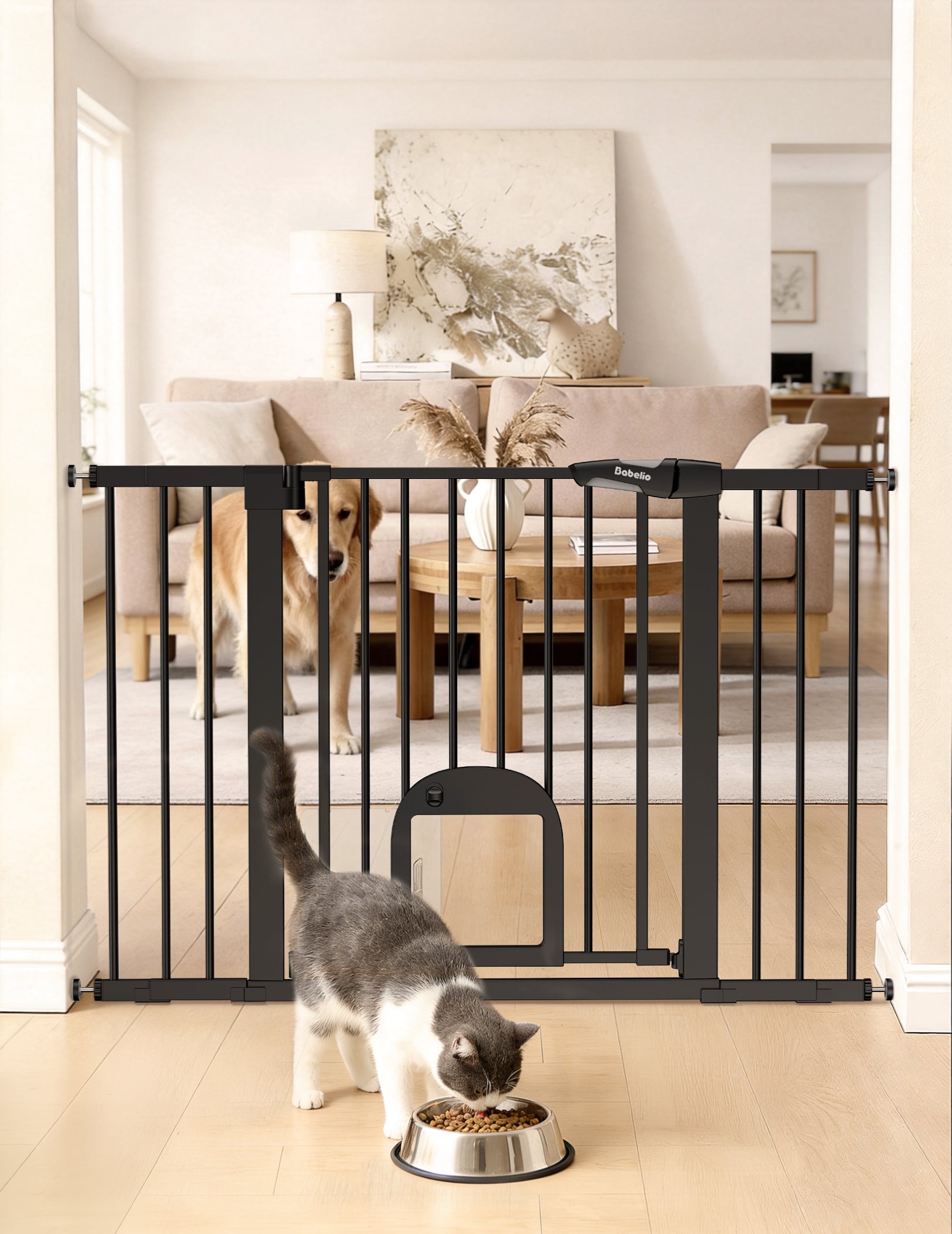 Pet gate in a living room with a cat and dog, and a pet bowl on the floor.#Color_Black
