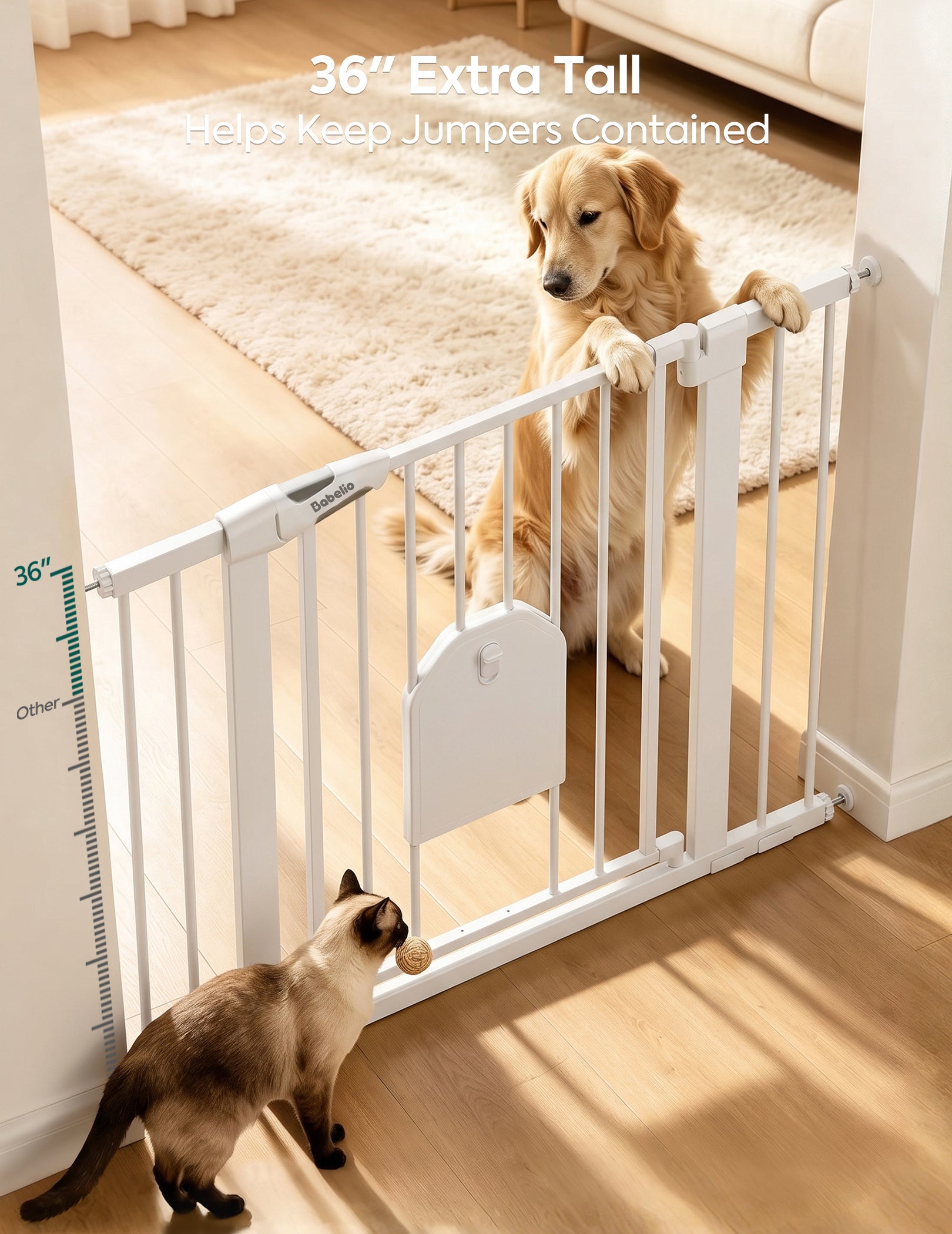 A white pet gate installed across a doorway in a home setting, with a golden retriever standing on the other side and a cat looking at the gate. Text at the top reads '36" Extra Tall Helps Keep Jumpers Contained' and a height measurement graphic is visible on the left wall.#Color_White