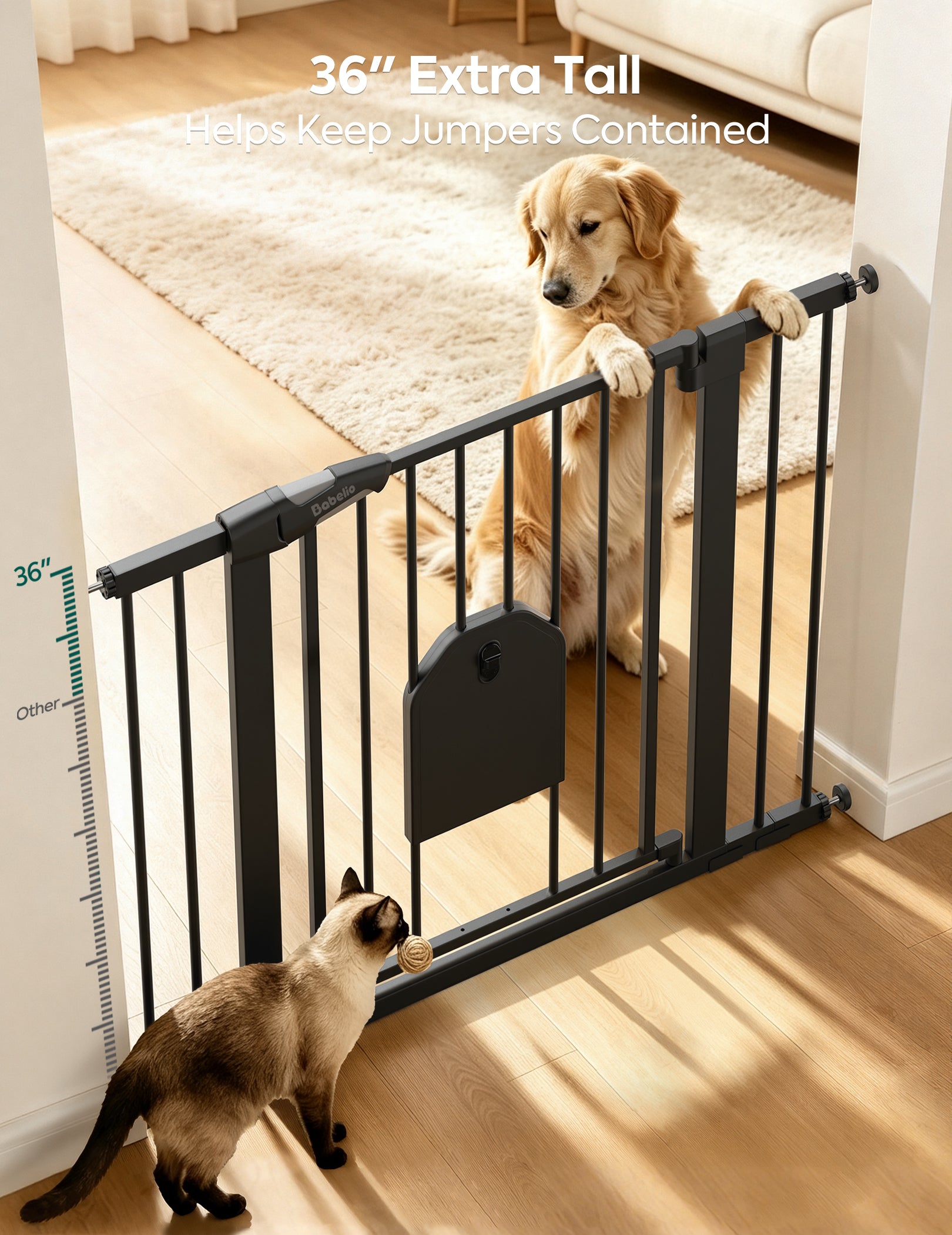 A black pet gate installed across a doorway in a home interior, with a golden retriever standing on the other side and a cat in front of the gate. White text at the top reads '36" Extra Tall Helps Keep Jumpers Contained.#Color_Black