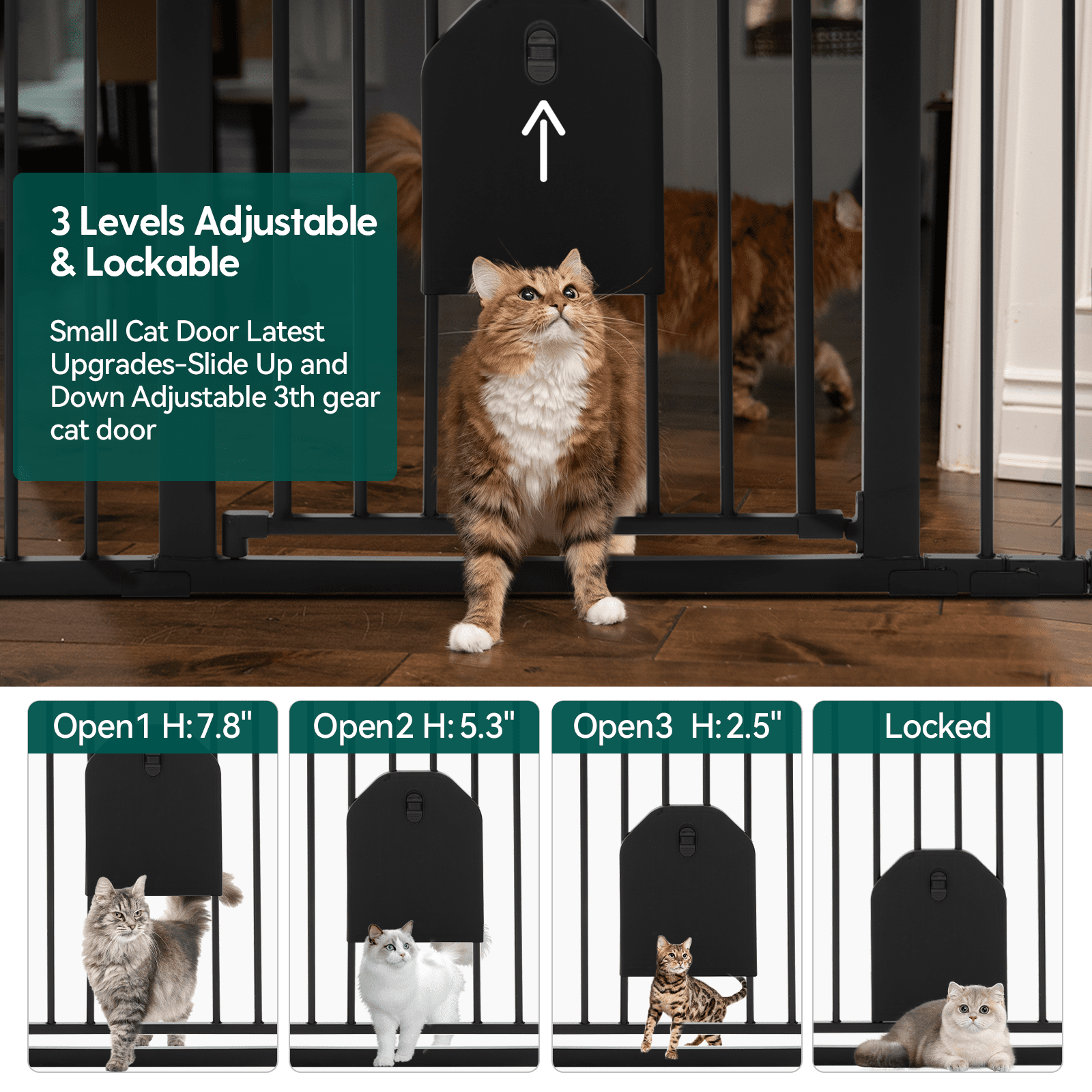 Babelio baby safety gate with lockable adjustable cat door, shown in a hallway with cats.