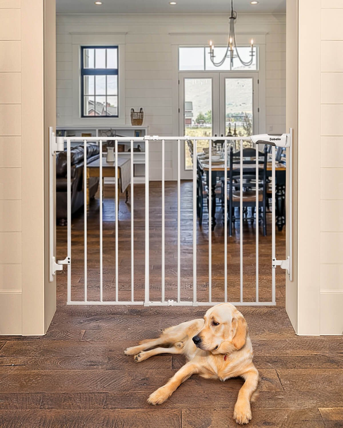 Babelio baby safety gate installed in a living room doorway with a dog nearby