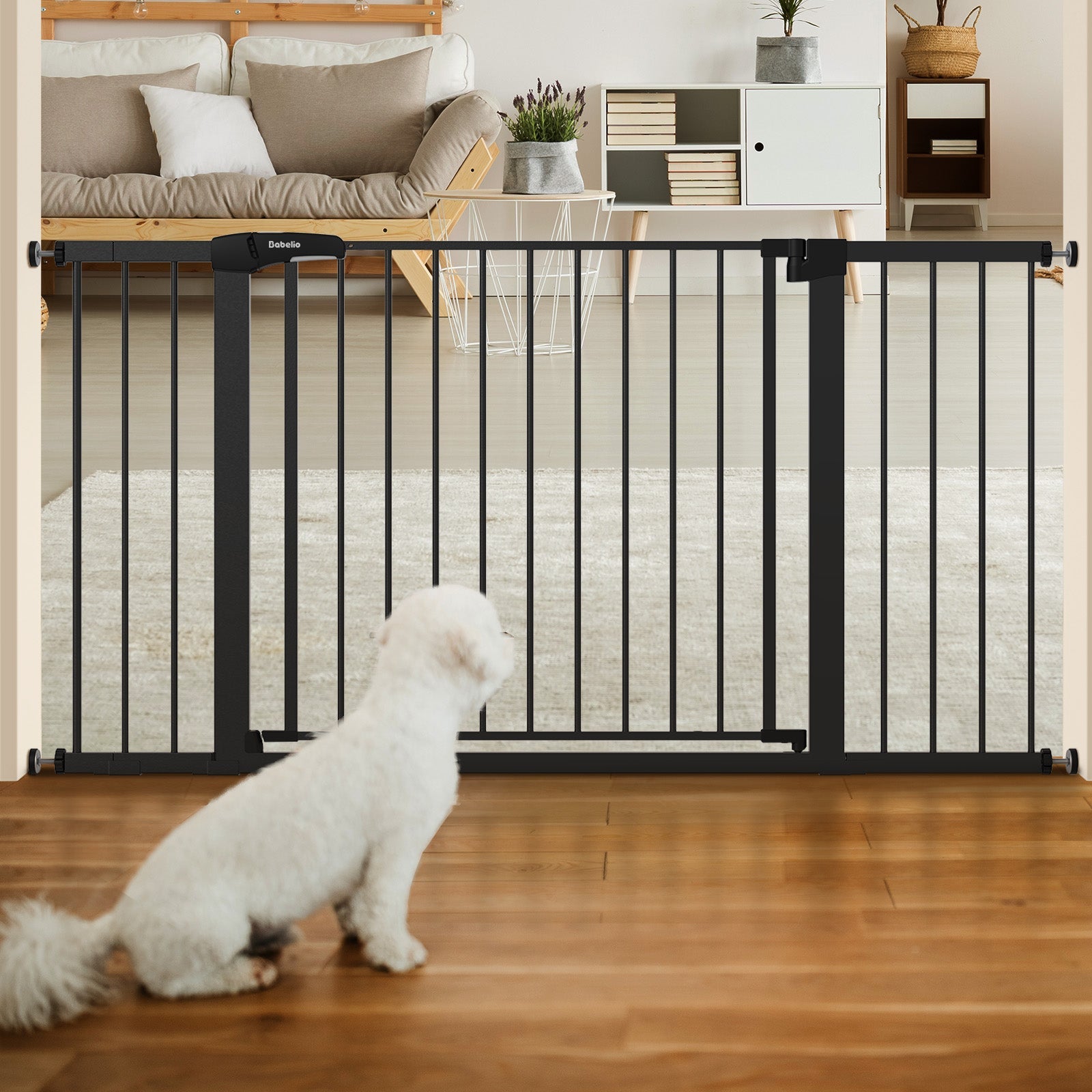 Babelio black baby safety gate installed in living room doorway, small dog nearby