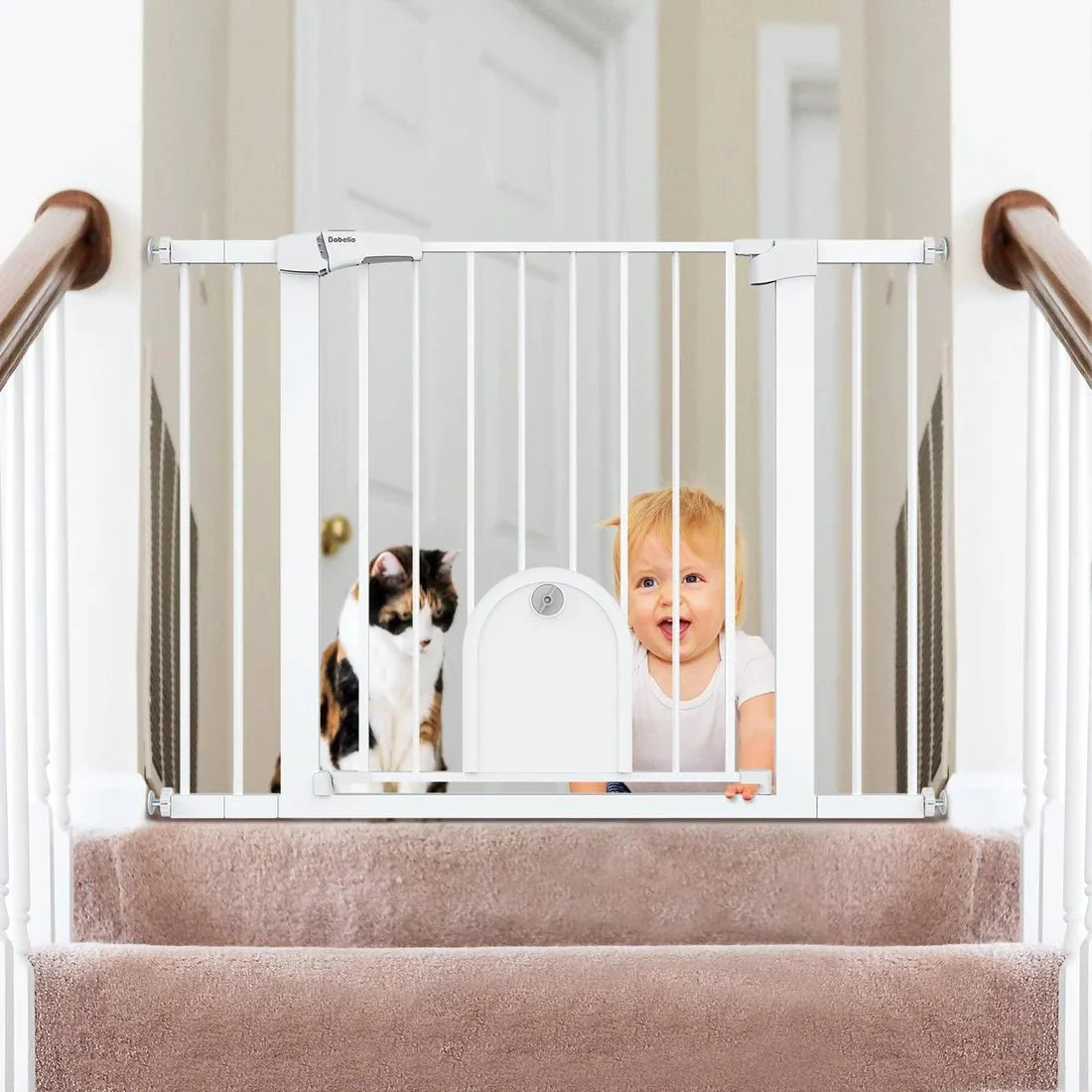 Baby and cat behind Babelio safety gate at top of carpeted stairs in modern home