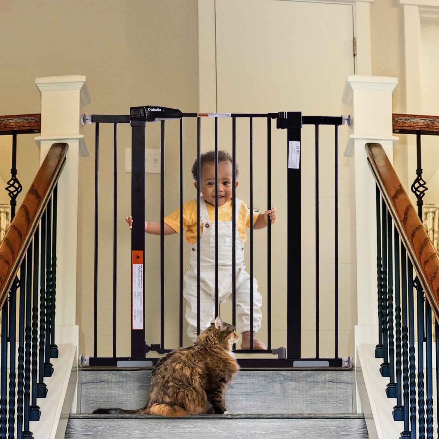 Baby behind Babelio baby safety gate at top of stairs, cat sitting in front, home setting