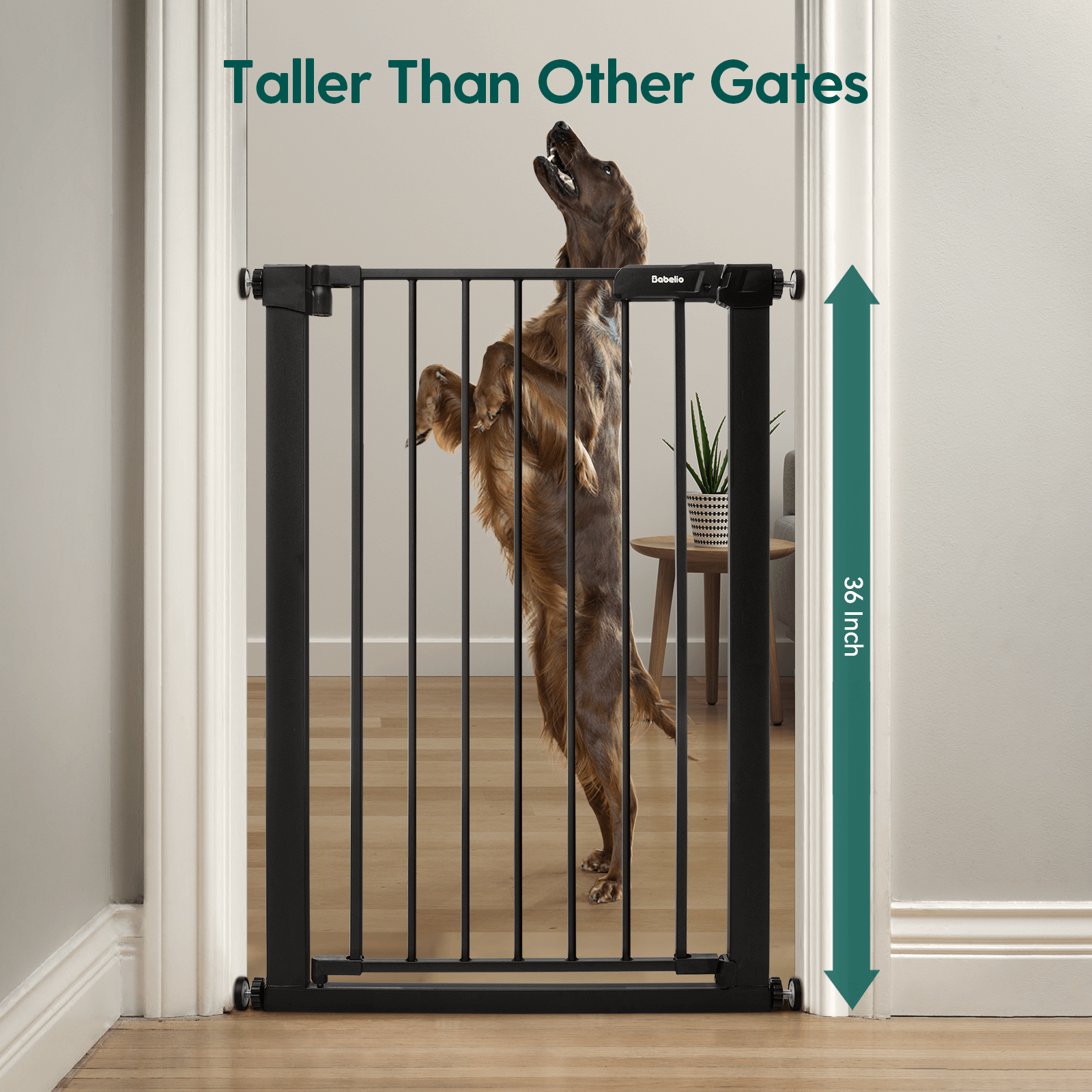 Babelio Classical 27 30 Wide 36 Tall Narrow Baby Pet Gate Protec