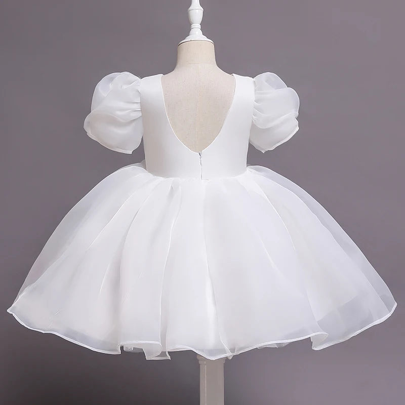 Girls Princess Dress with Puffed Sleeves — A-Line Tulle Birthday Party Outfit