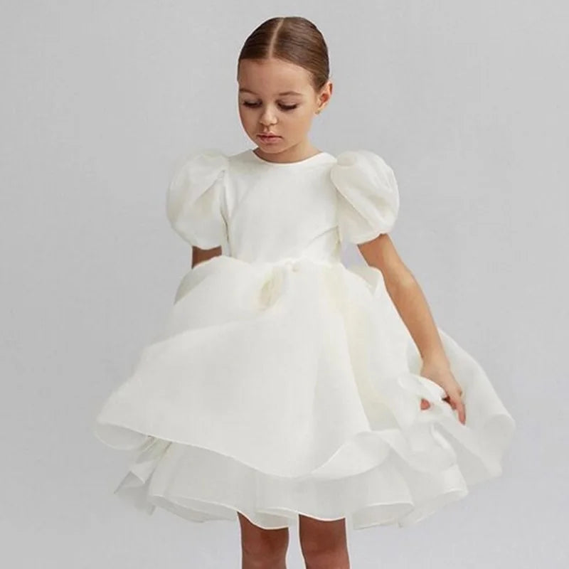 Girls Princess Dress with Puffed Sleeves — A-Line Tulle Birthday Party Outfit