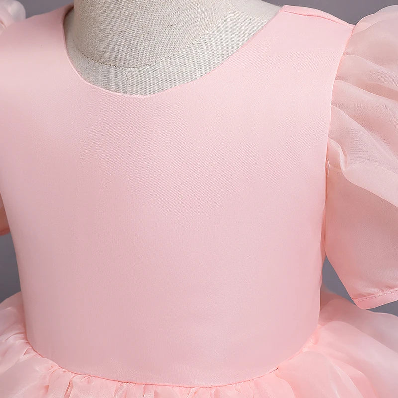 Girls Princess Dress with Puffed Sleeves — A-Line Tulle Birthday Party Outfit