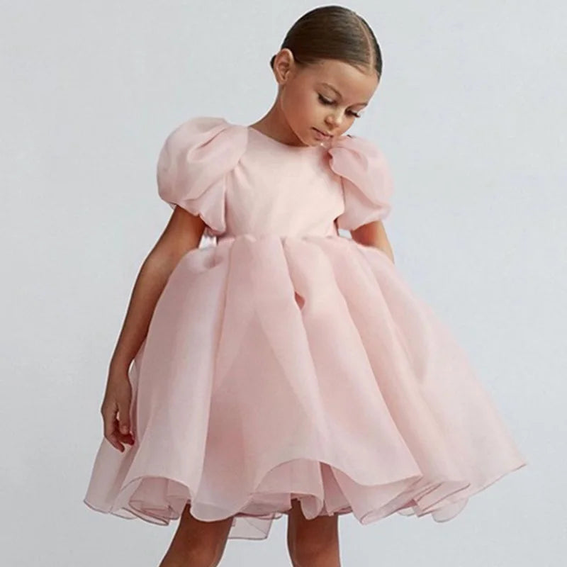 Girls Princess Dress with Puffed Sleeves — A-Line Tulle Birthday Party Outfit