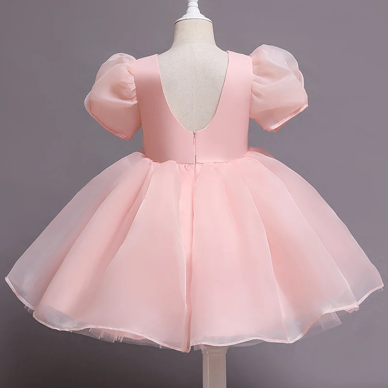 Girls Princess Dress with Puffed Sleeves — A-Line Tulle Birthday Party Outfit