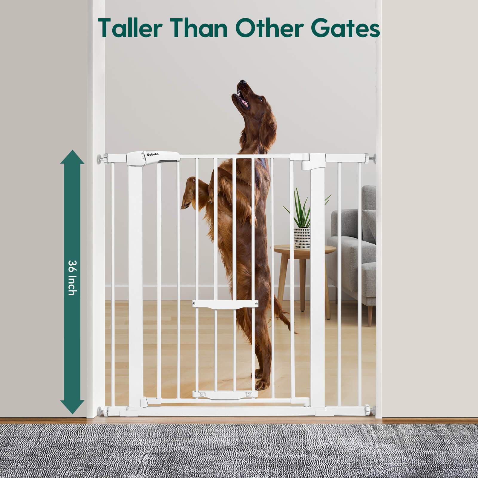 CatPrivilege F7 | Expandable Baby and Pet Gate with Adjustable Cat Door - babeliobaby - White - 29 - 40" Wide 30'' Tall