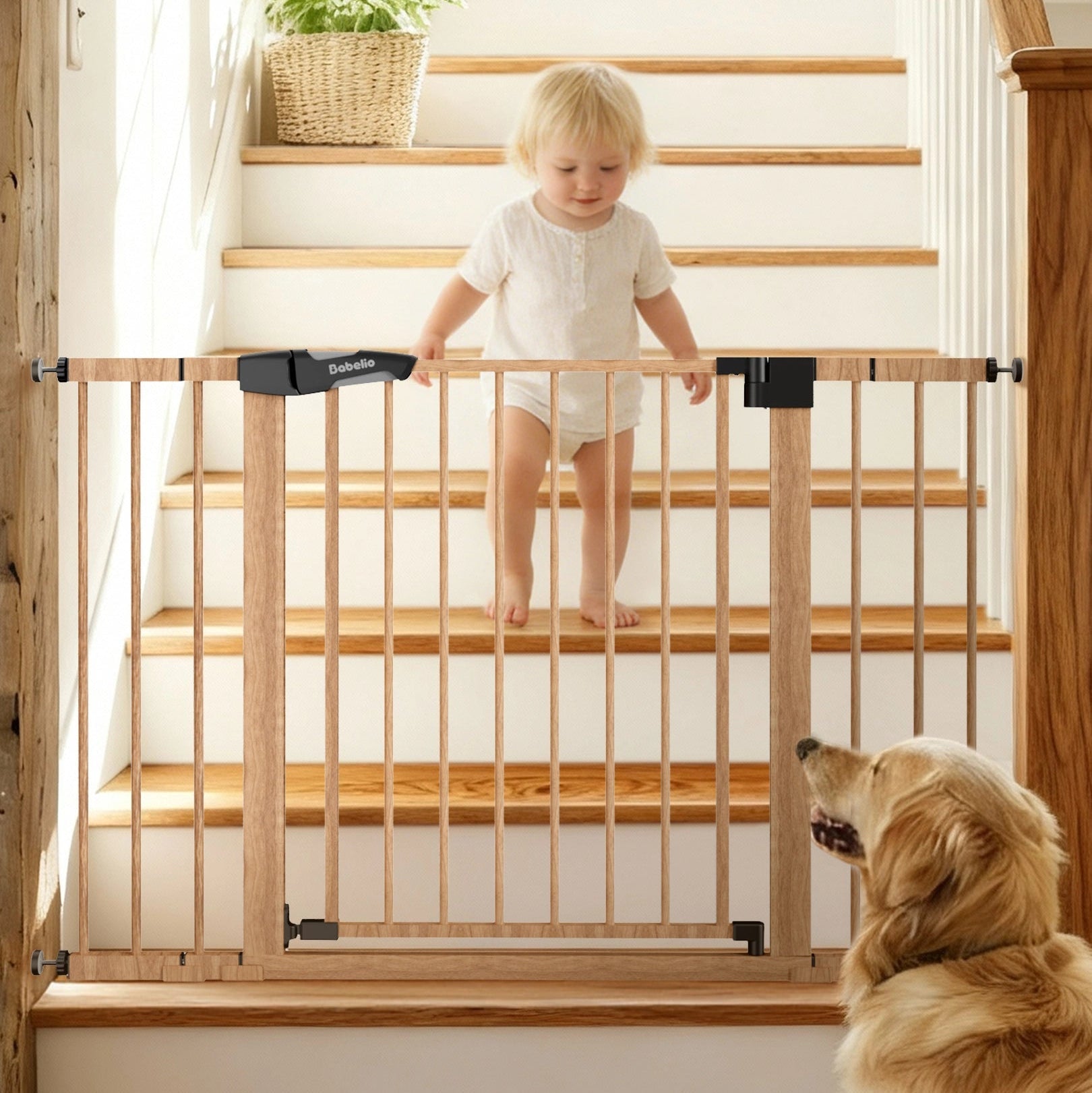 Child standing on a staircase with a safety gate, accompanied by a dog.