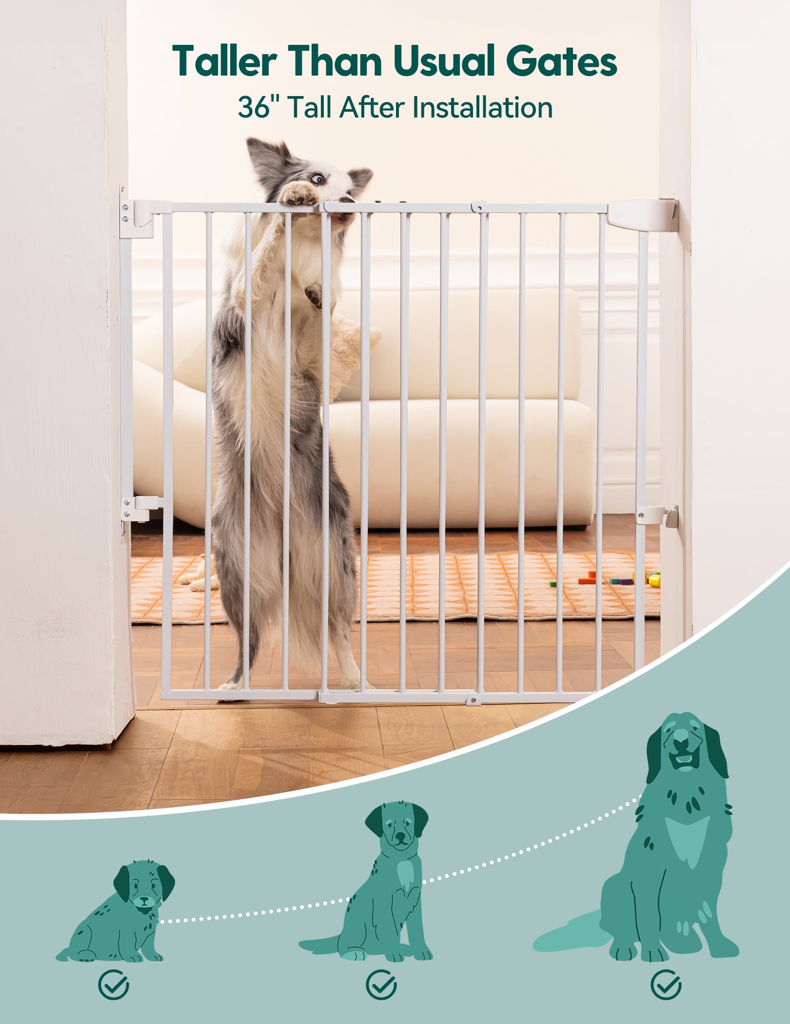Babelio baby safety gate in living room, extra tall white gate blocks pet from sofa area