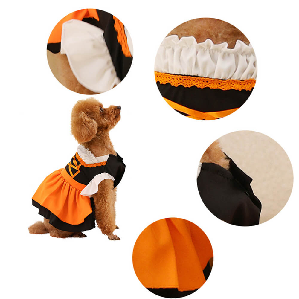 Small brown dog wearing orange and black costume dress with white ruffles, Babelio