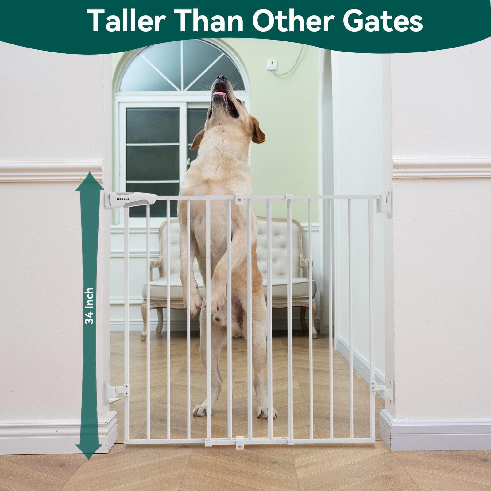 Tall baby gates outlet with door