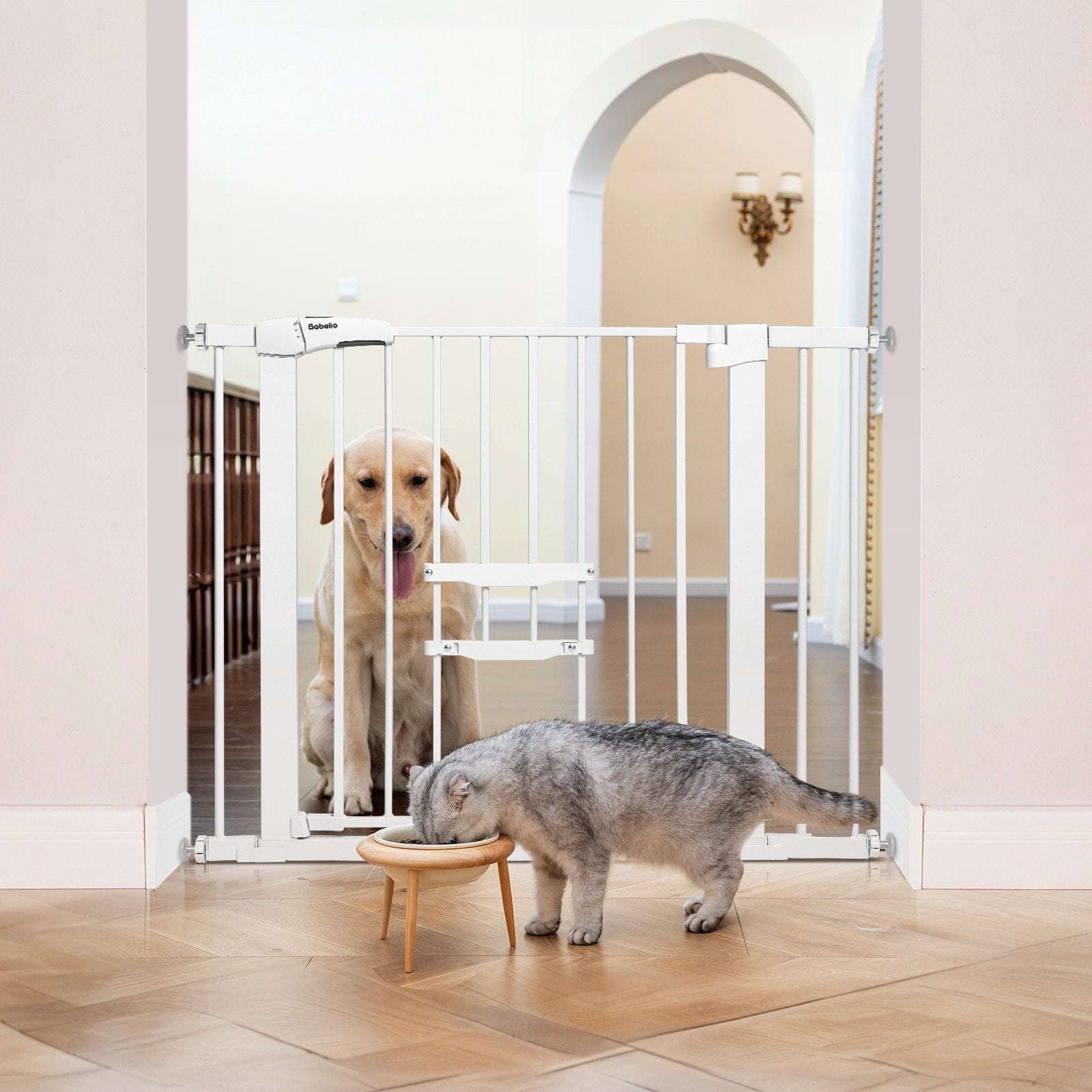 Babelio baby safety gate with adjustable cat door installed in a hallway, cat eating, dog behind gate.